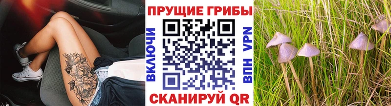 mega рабочий сайт Среднеуральск Галлюциногенные грибы мицелий